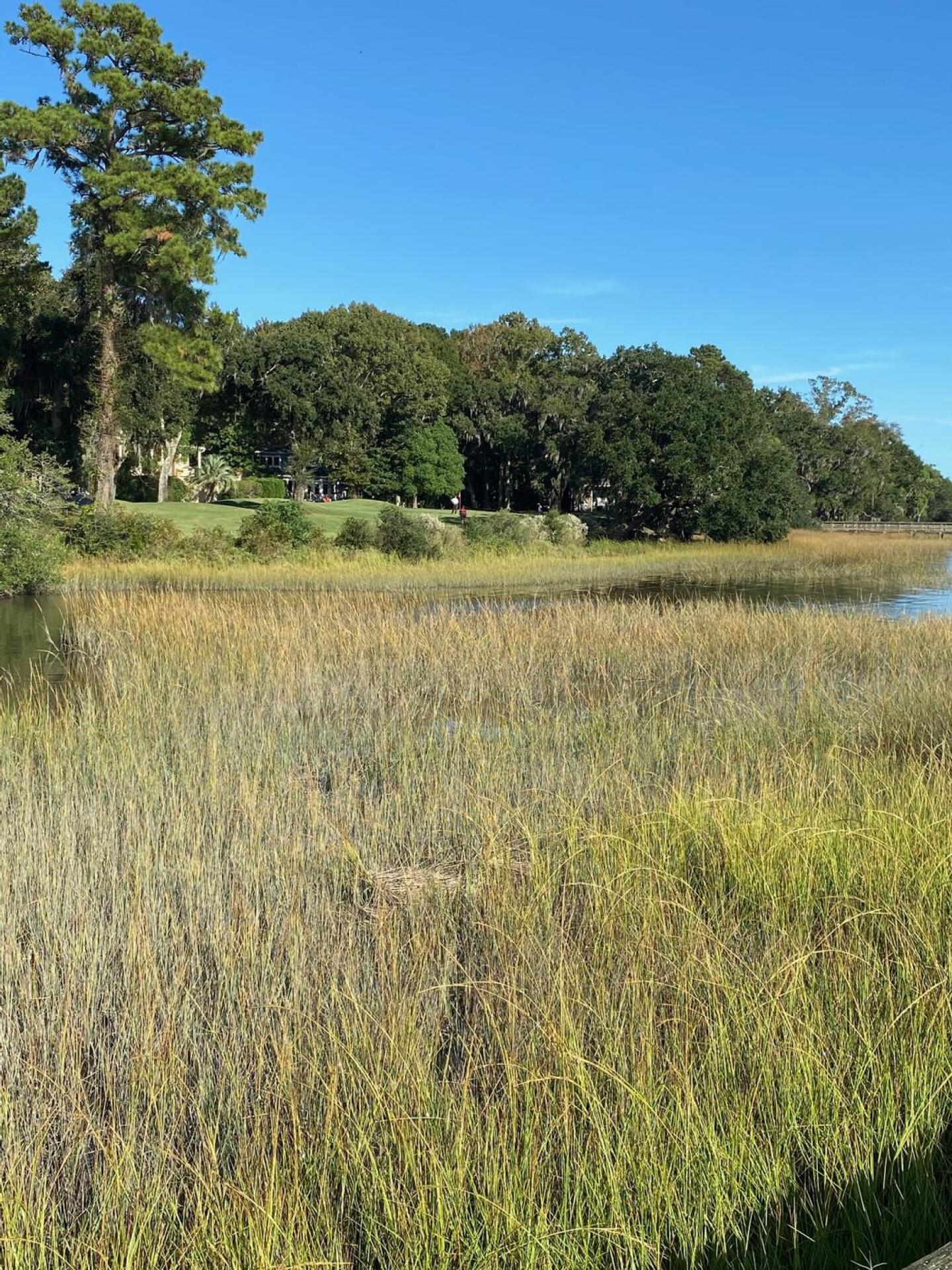 (Photo submitted by DenisDotson on 11/03/2020)